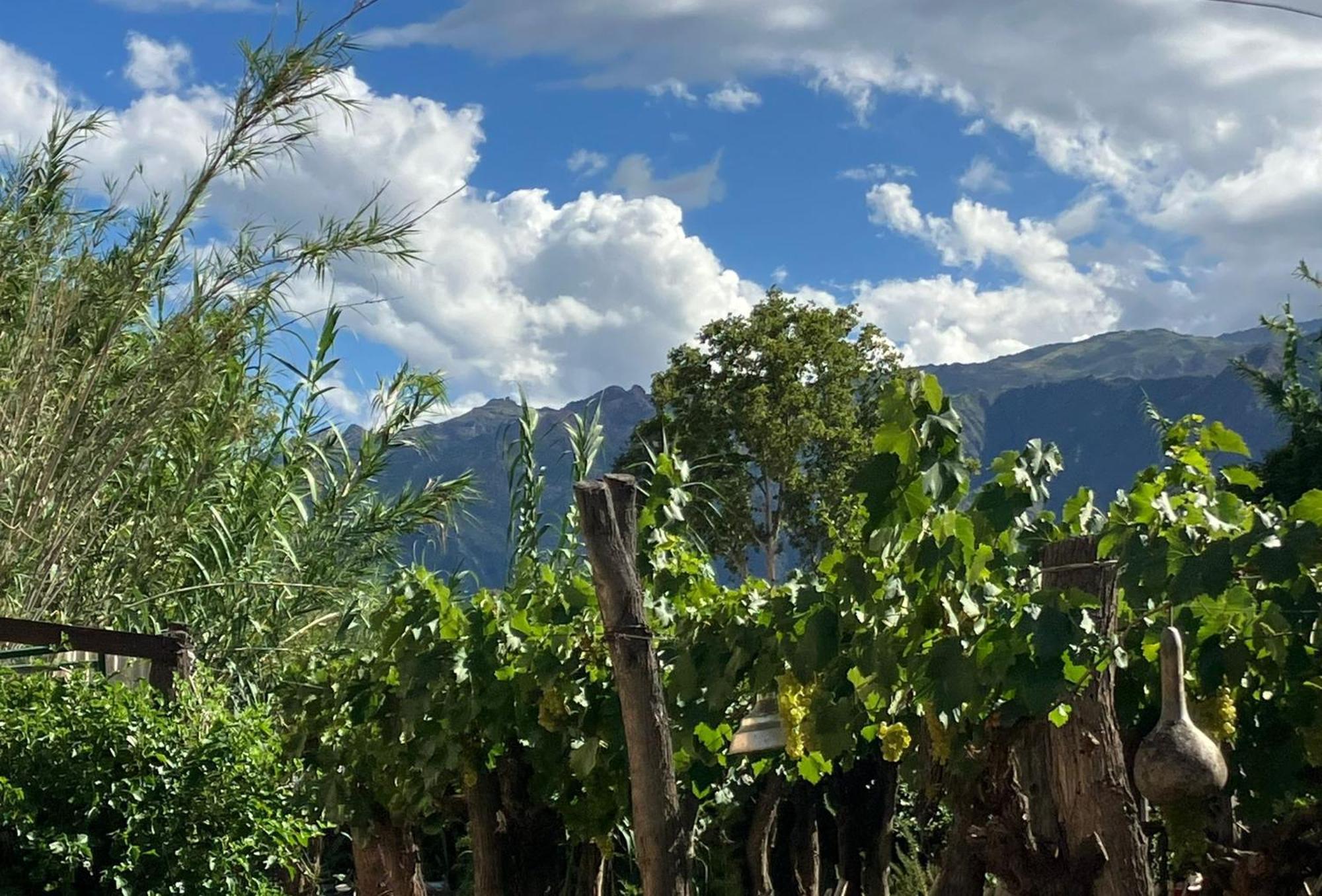 Casa Prana Estudio De Yoga Cafayate Buitenkant foto